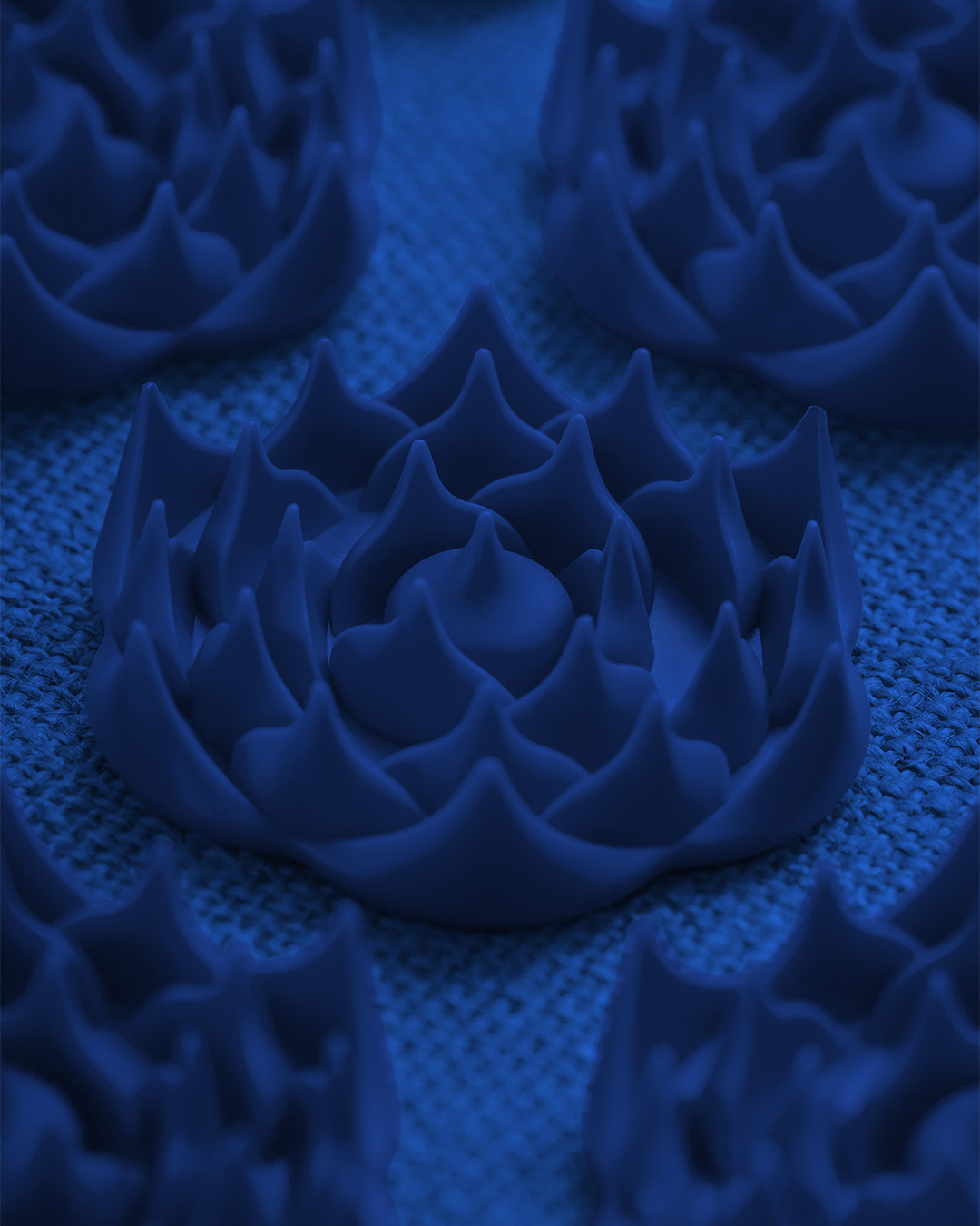 Tapis + coussin (Bleu Monaco)